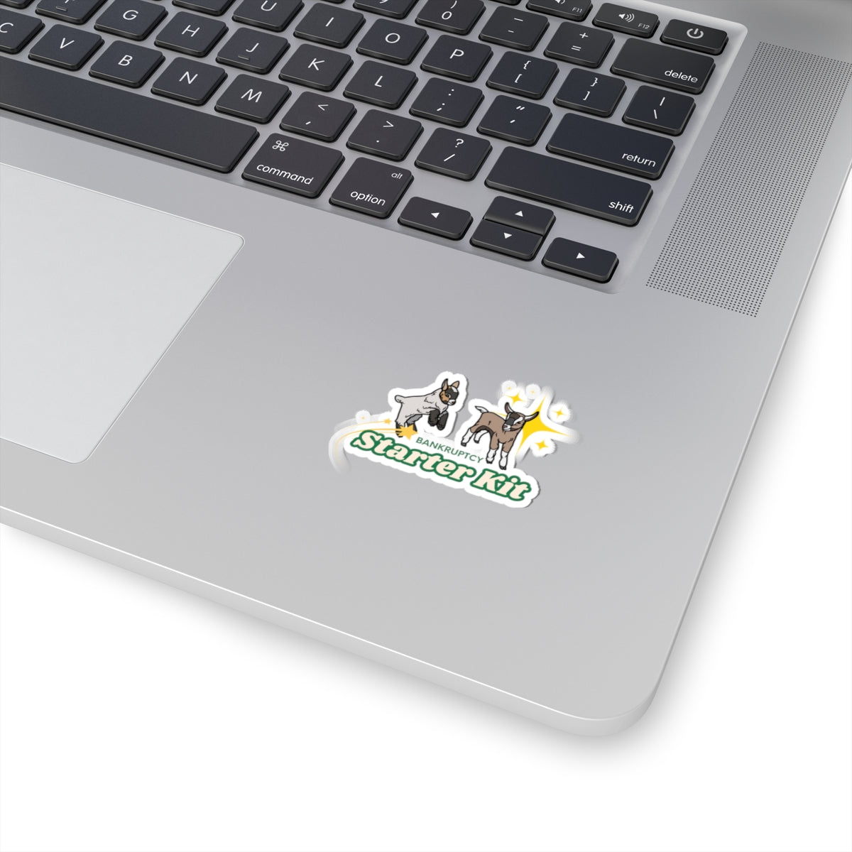 Bankruptcy Starter Kit - Stickers!