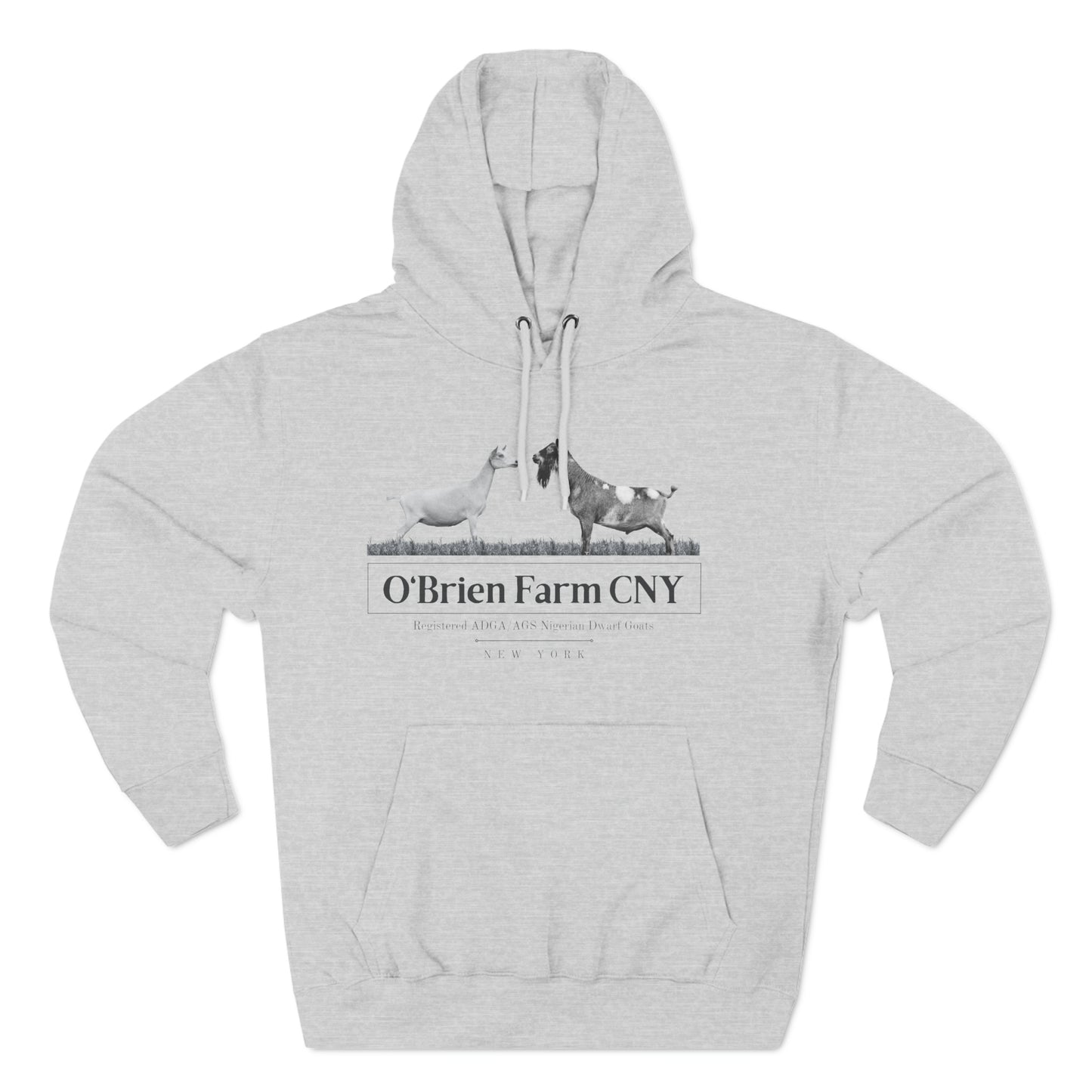 Three-Panel Fleece Hoodie - "O'Brien Farm CNY" Light Option
