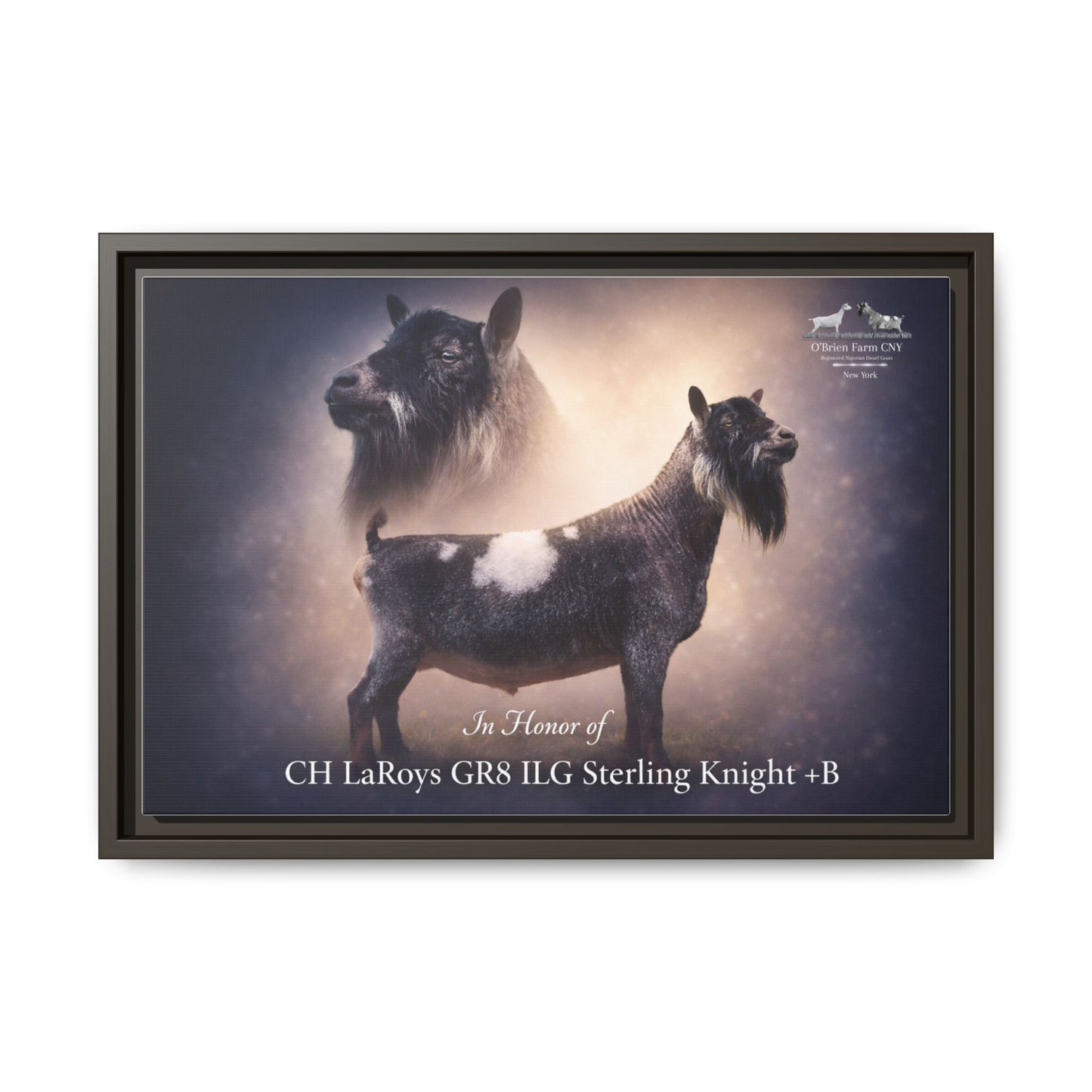 FOR KIM 12" x 18" Matte Canvas, Framed (Multi-color)