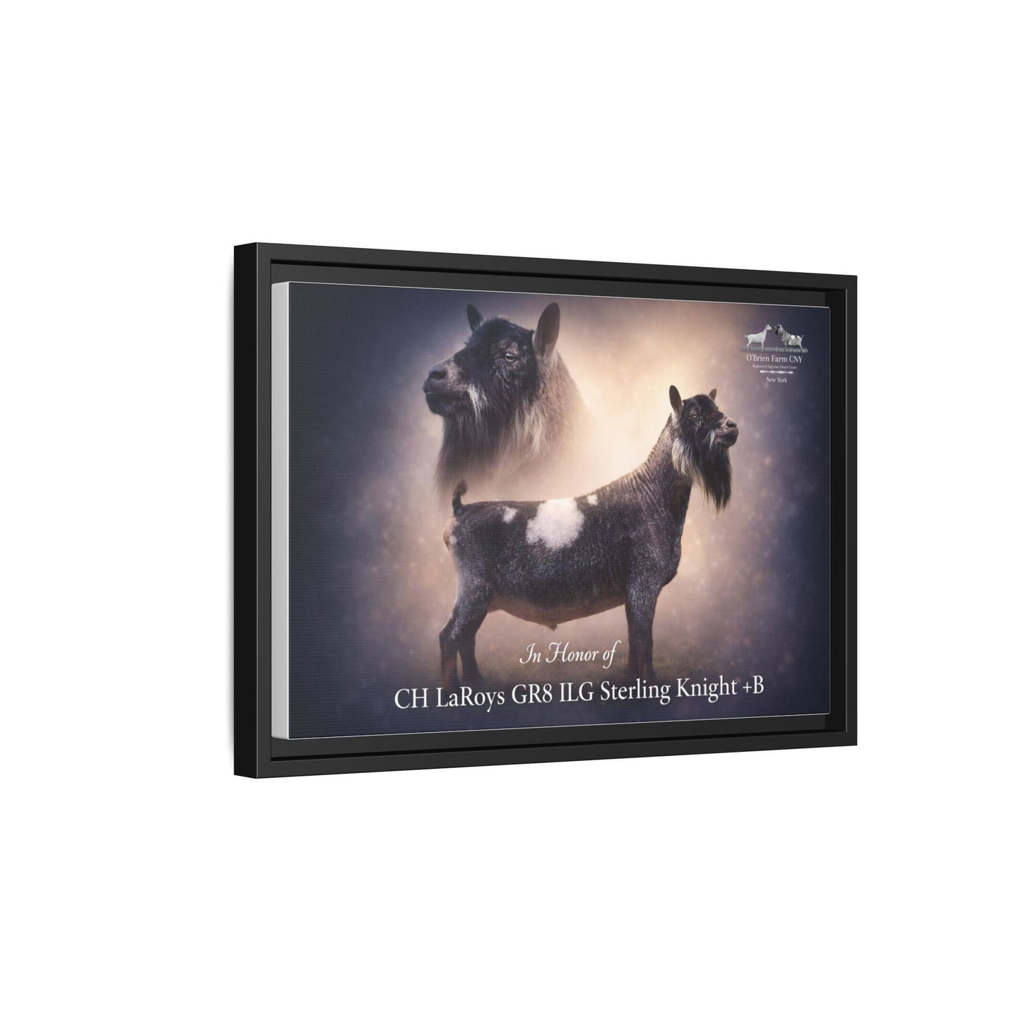 FOR KIM 12" x 18" Matte Canvas, Framed (Multi-color)