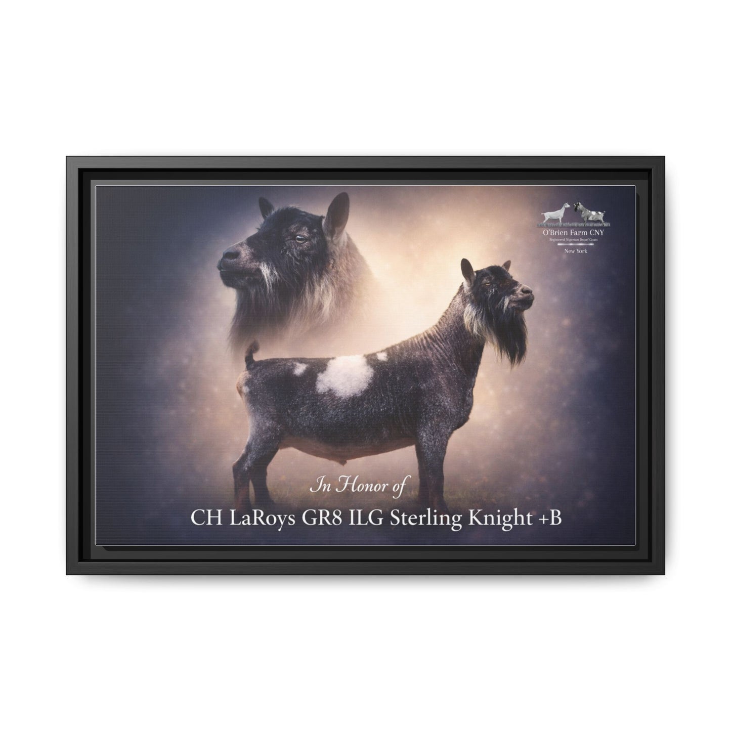 FOR KIM 12" x 18" Matte Canvas, Framed (Multi-color)