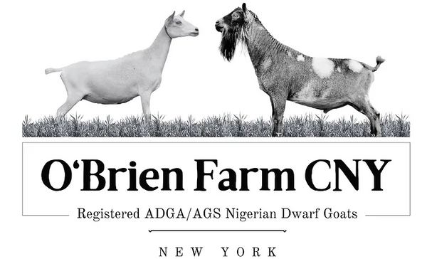O'Brien Farm CNY Farm Shop
